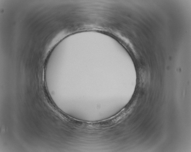 X0000080731365200701051048