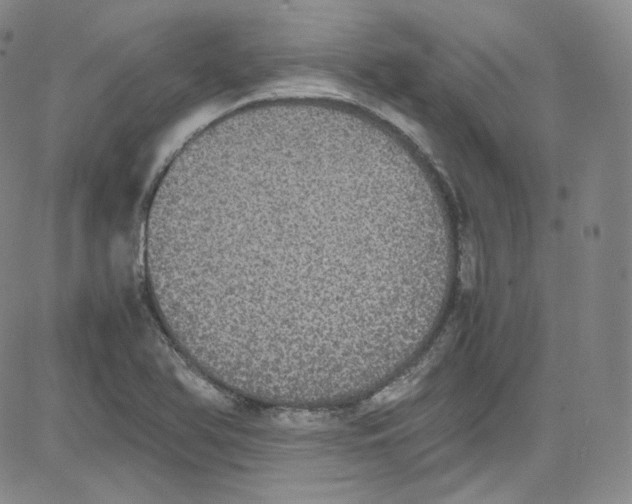 X0000080731366200701051048