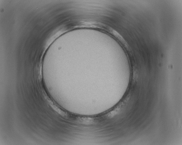 X0000080731370200701051048