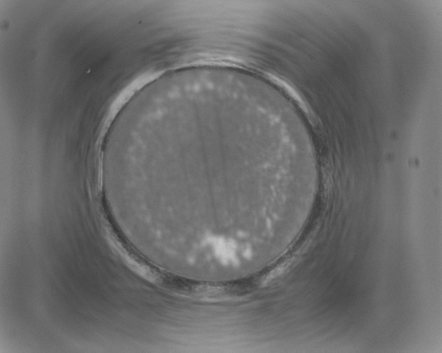 X0000080731371200701051048