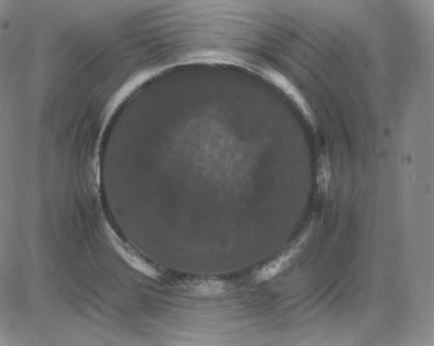 X0000080731372200701051048