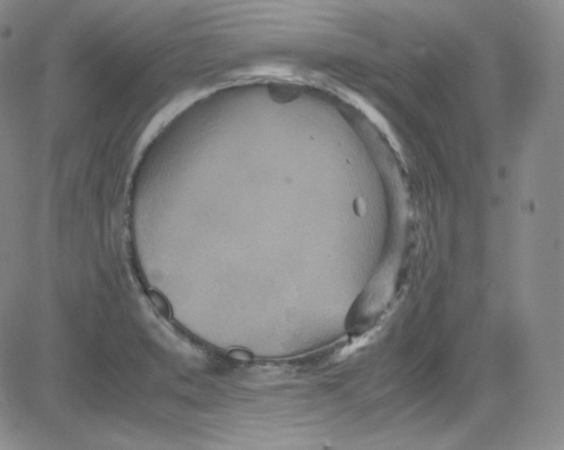 X0000080731373200701051048