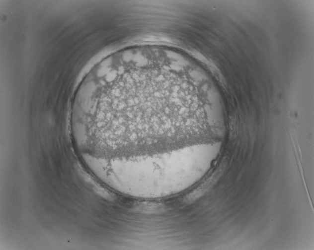 X0000080731374200701051048