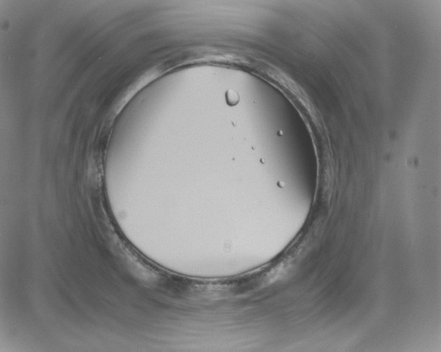 X0000080731377200701051048