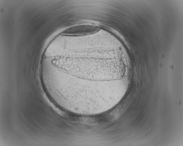 X0000080731379200701051048