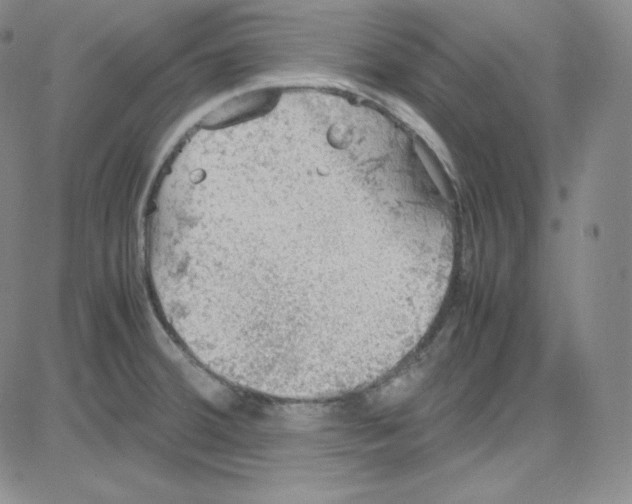 X0000080731380200701051048