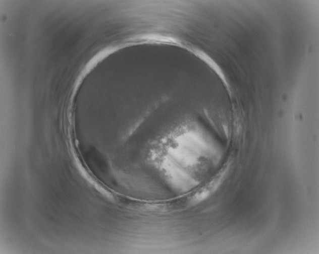 X0000080731381200701051048