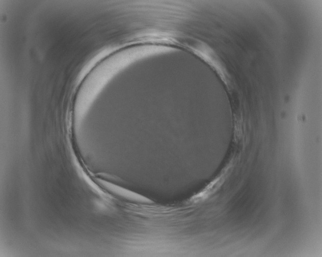 X0000080731383200701051048