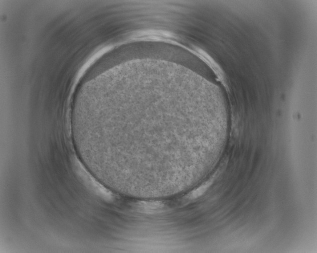 X0000080731384200701051048