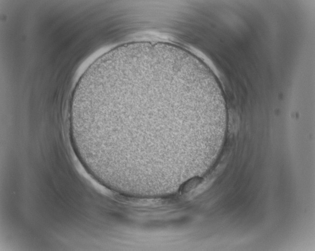 X0000080731387200701051048