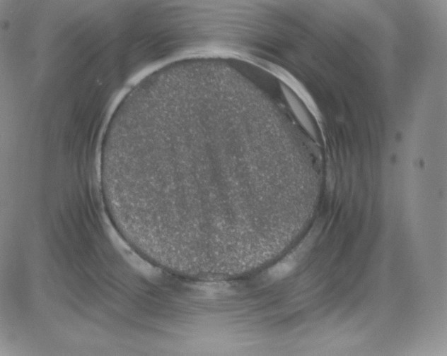 X0000080731388200701051048