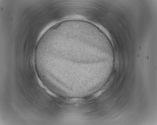 X0000080731390200701051048