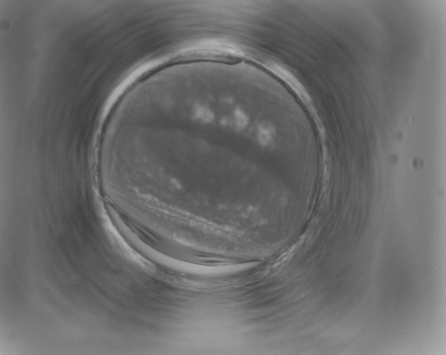 X0000080731392200701051048