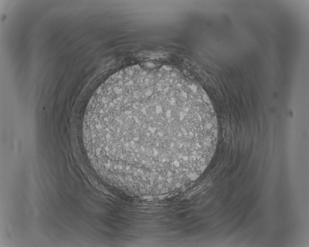 X0000080731393200701051047