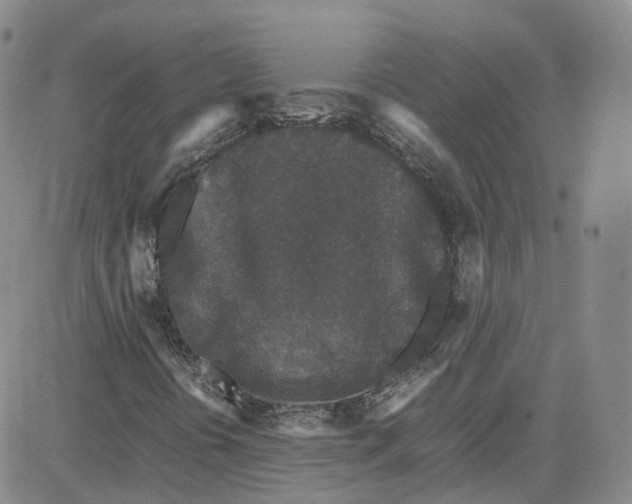 X0000080731394200701051047