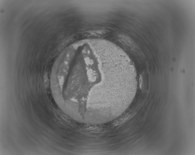 X0000080731395200701051047