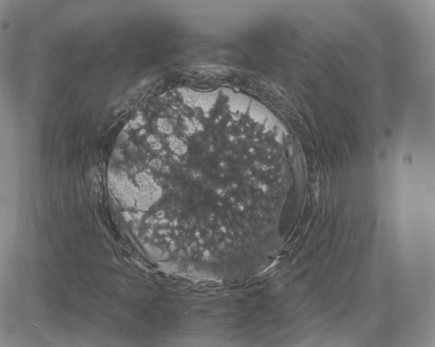 X0000080731397200701051047