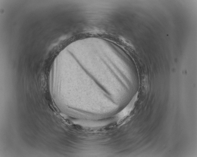 X0000080731398200701051047