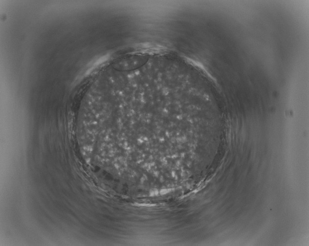 X0000080731399200701051047