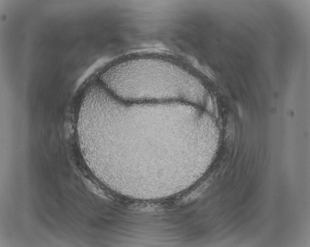 X0000080731400200701051047