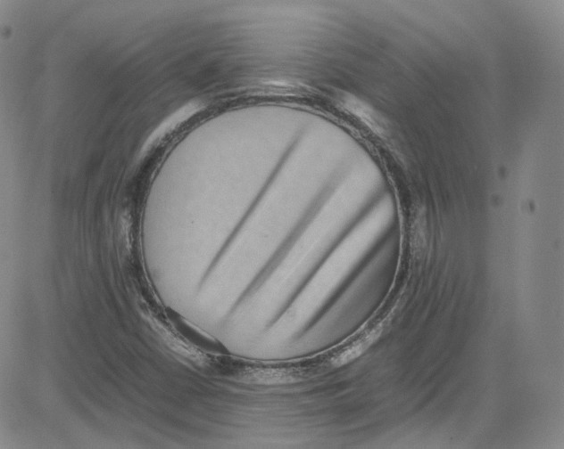 X0000080731402200701051047