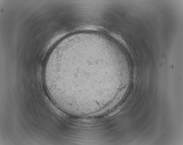 X0000080731404200701051047