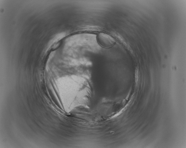 X0000080731405200701051047