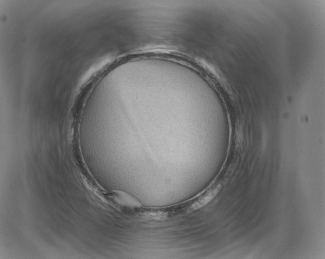 X0000080731406200701051047