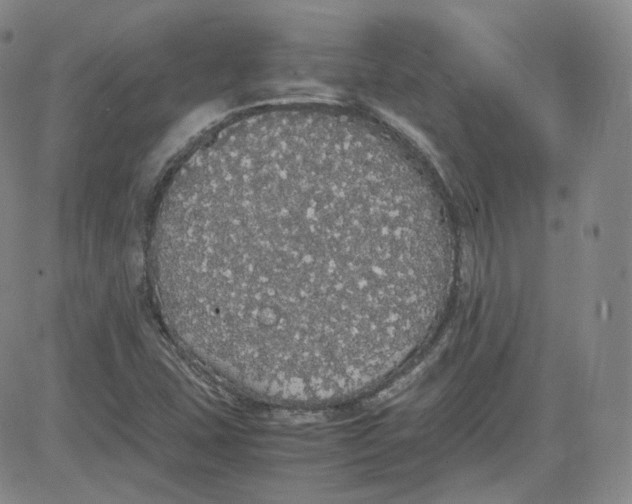 X0000080731407200701051047