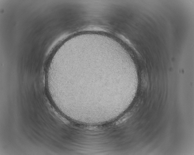 X0000080731408200701051047