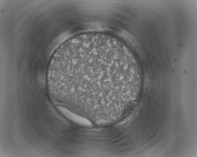 X0000080731409200701051047