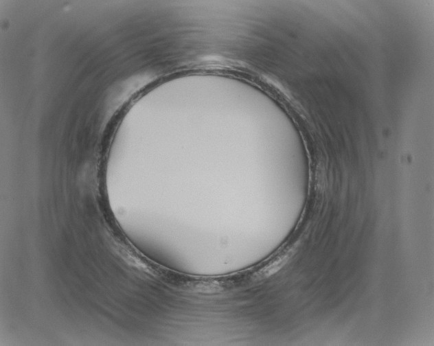 X0000080731410200701051047