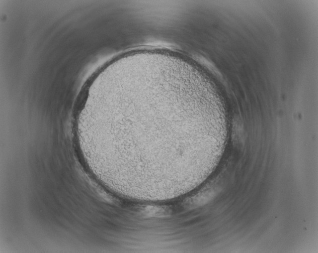 X0000080731412200701051047