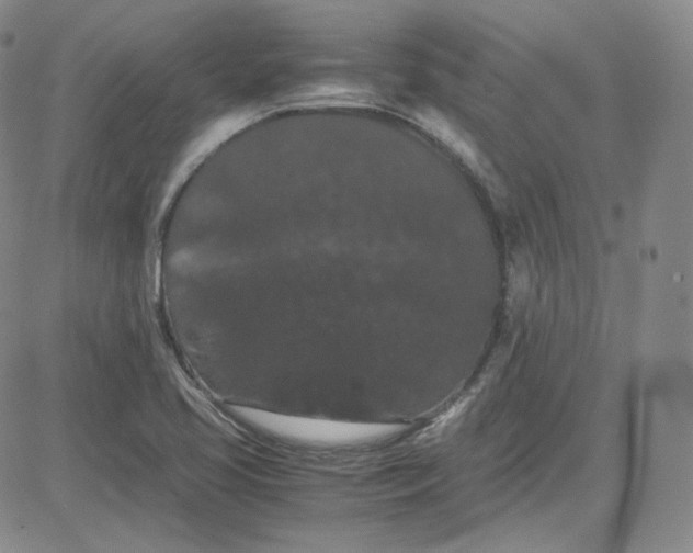 X0000080731413200701051048