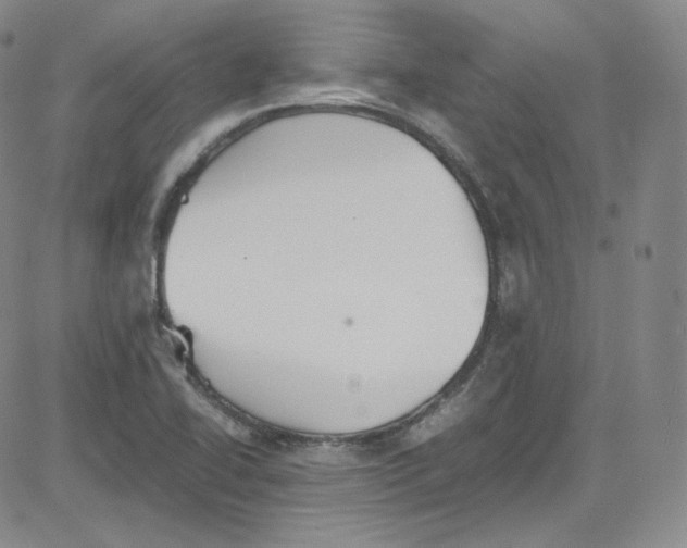 X0000080731414200701051048