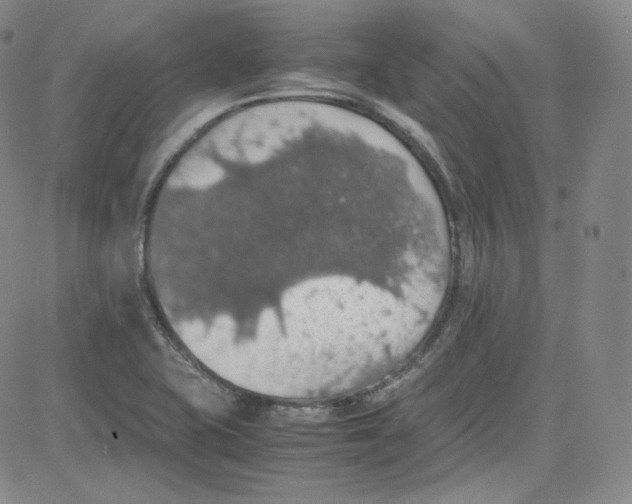 X0000080731415200701051048