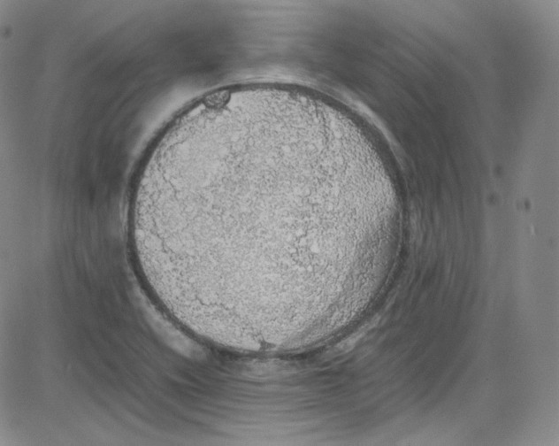 X0000080731416200701051048