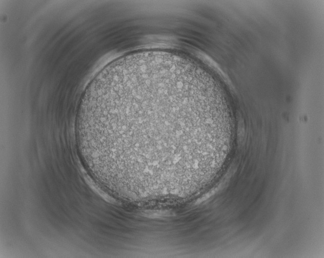 X0000080731417200701051048