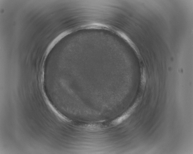 X0000080731418200701051048