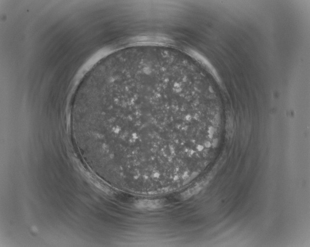 X0000080731419200701051048