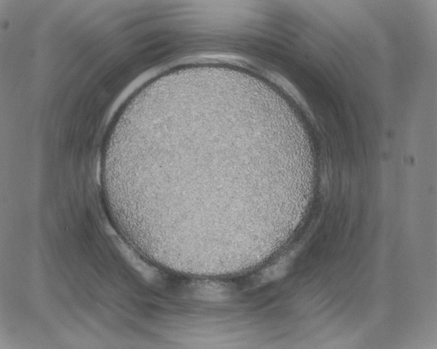 X0000080731420200701051048