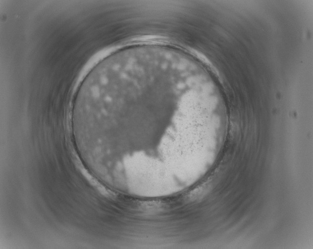 X0000080731421200701051048