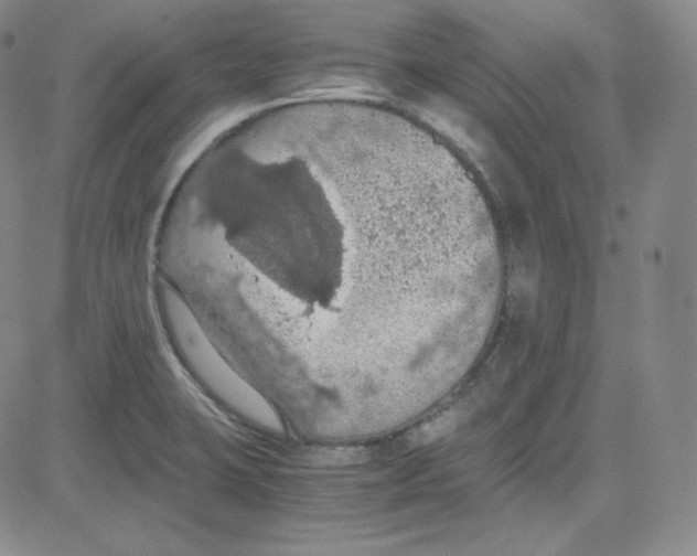 X0000080731423200701051048