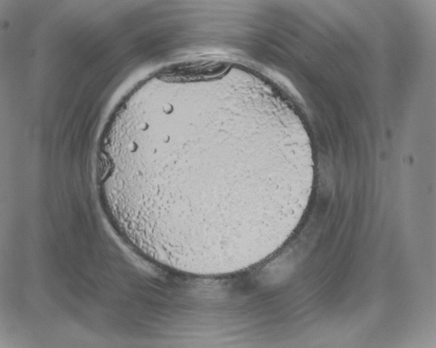 X0000080731424200701051048