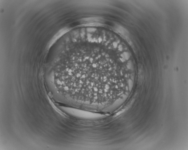 X0000080731425200701051048