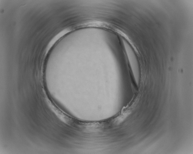 X0000080731426200701051048