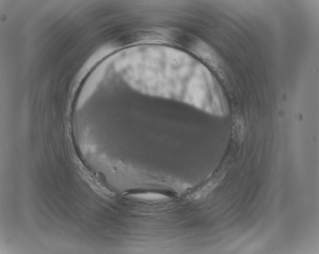 X0000080731427200701051048