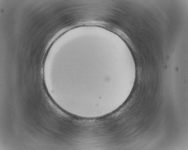 X0000080731428200701051048