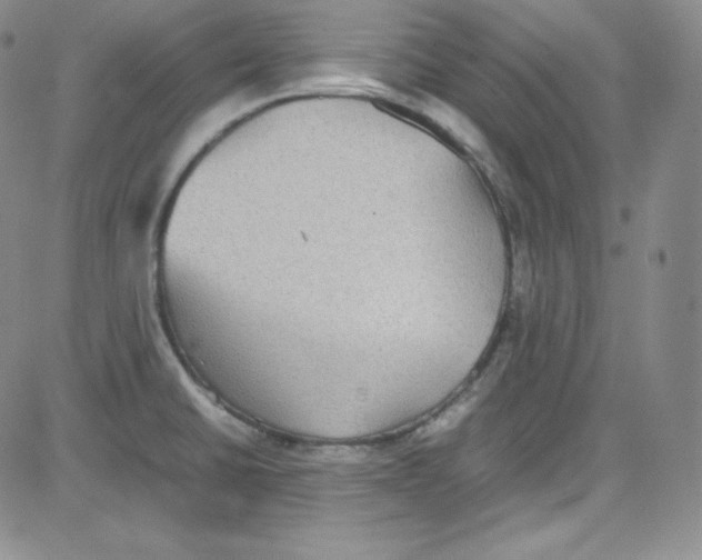 X0000080731430200701051048