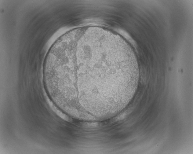 X0000080731431200701051048